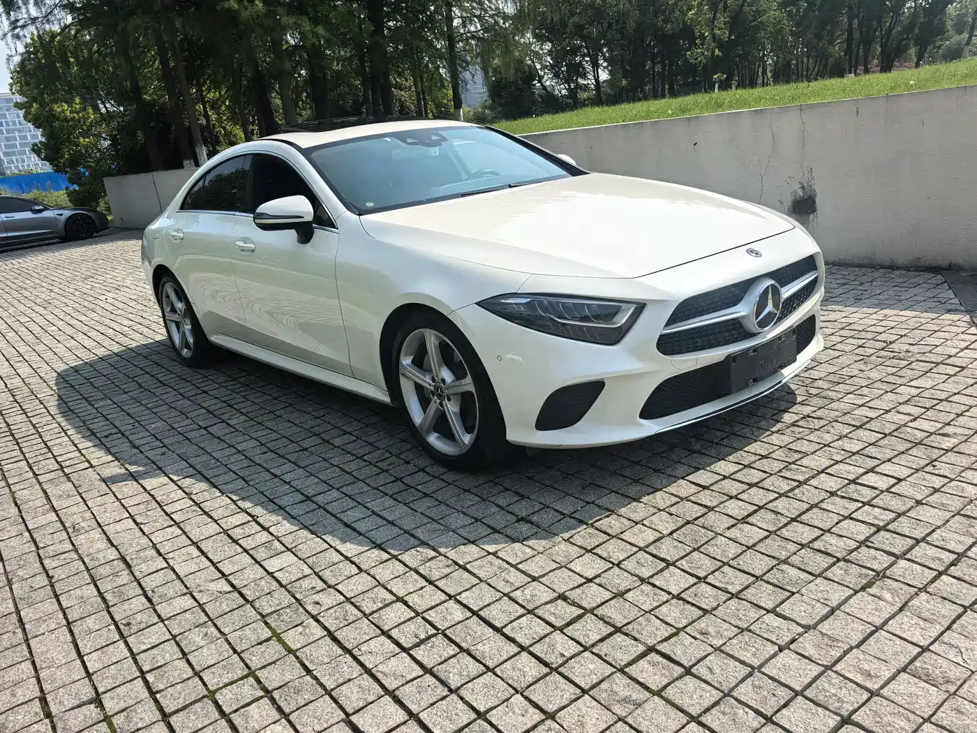 Mercedes-Benz CLS 2018 CLS 300 Dynamic фото 3