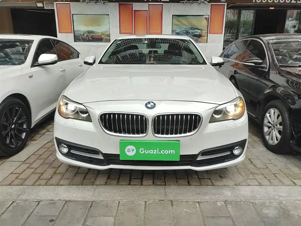 BMW 5 Series 2014 525Li Leading фото 3