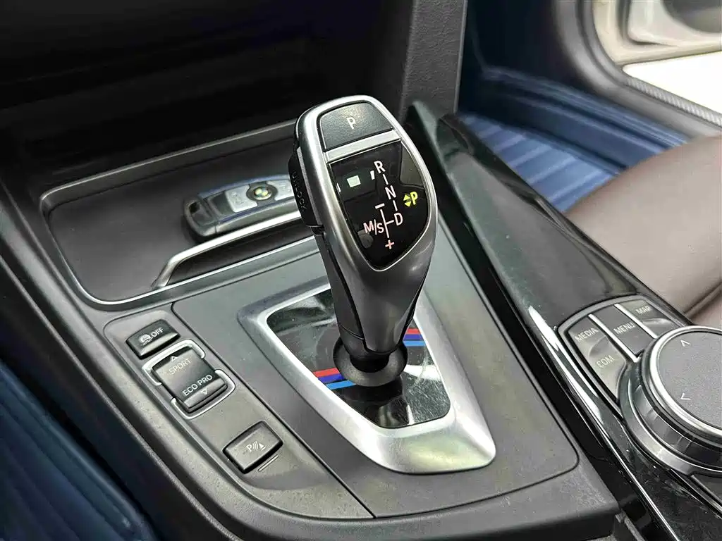 BMW 3 Series 2019 320Li M Luxury Package фото 15