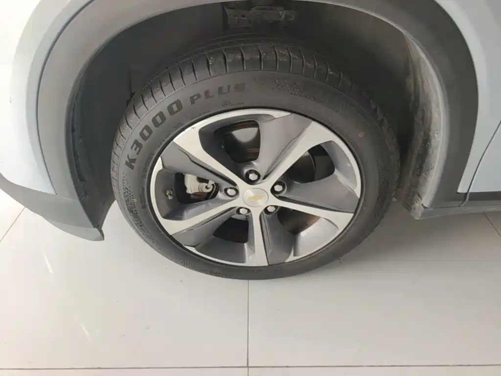 Фото 23 - Chevrolet Menlo