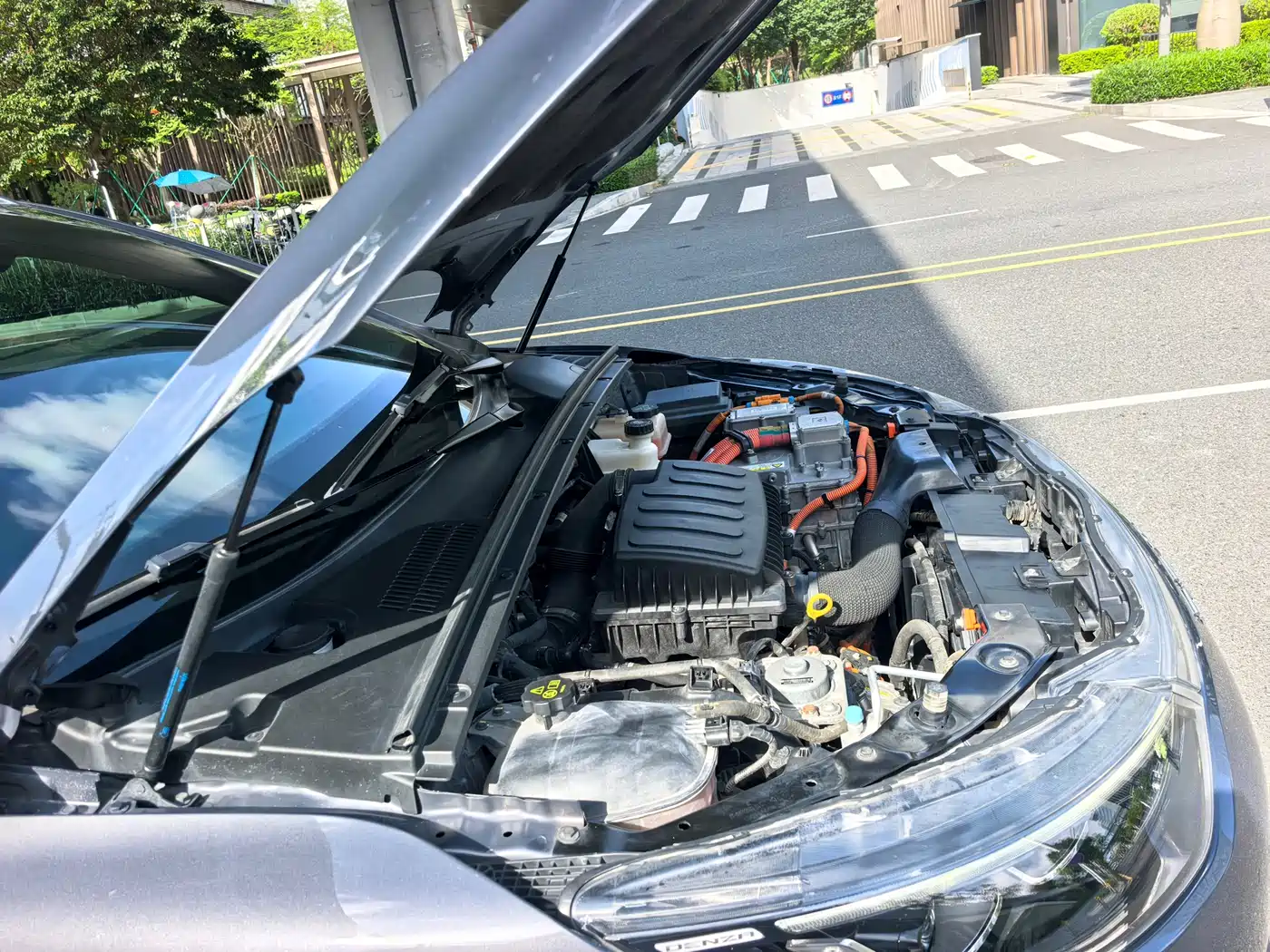 Denza X 2020 PHEV Classic Edition фото 18