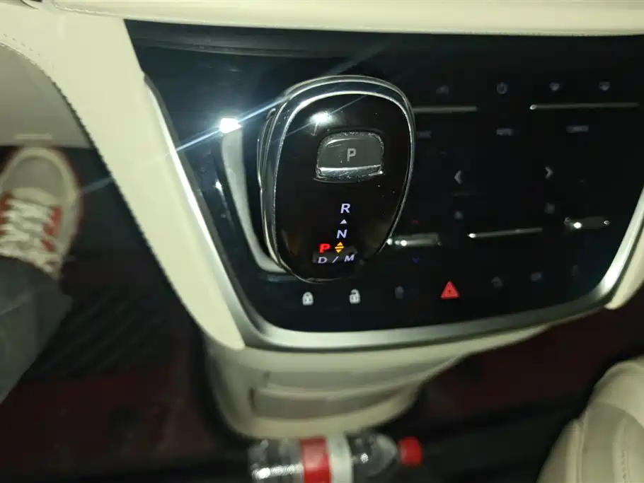 Buick GL8 2020 Avenir Seven-Seat Premium Edition фото 16