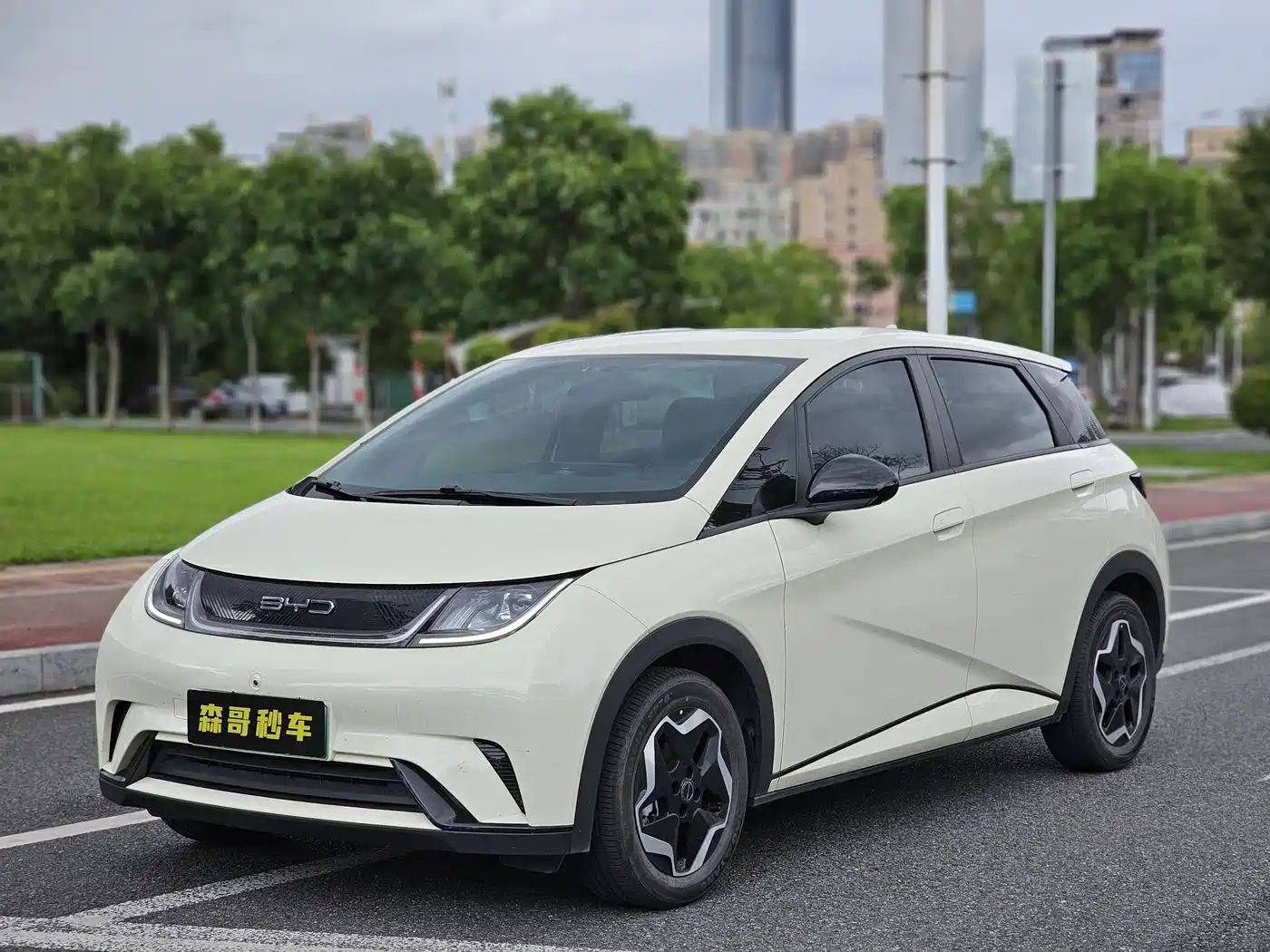 BYD Dolphin 2021 405km Freedom Edition