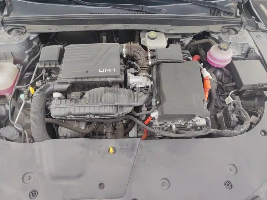 BYD Destroyer 05 2023 Champion Edition DM-i 120KM Honor фото 10
