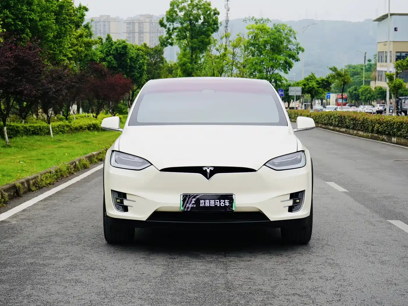 TESLA MODEL X