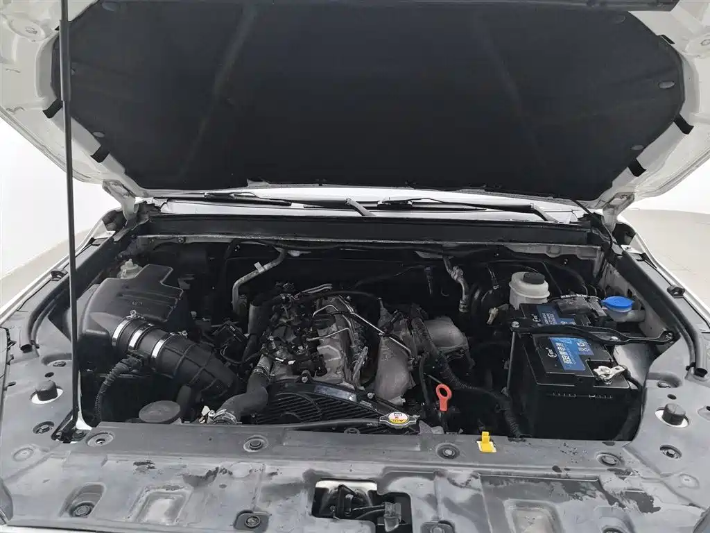 GREAT WALL FENGJUN 6