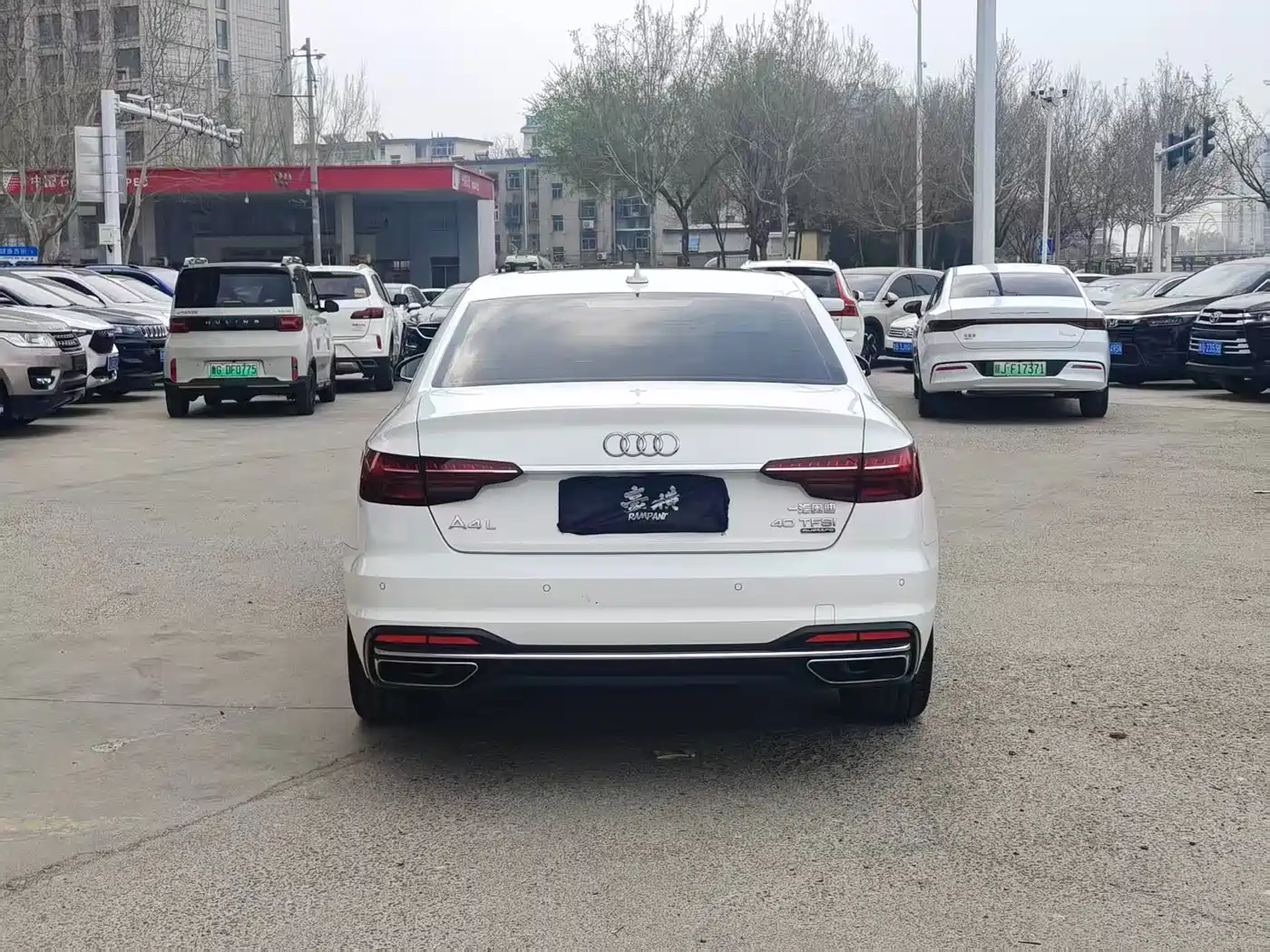 Audi A4L 2020 40 TFSI quattro Luxury Elegance фото 8