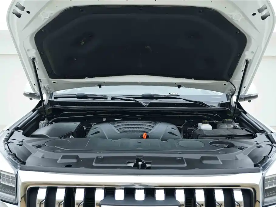 Haval H9 2022 2.0T Gasoline 4WD Elite 5-Seater фото 7