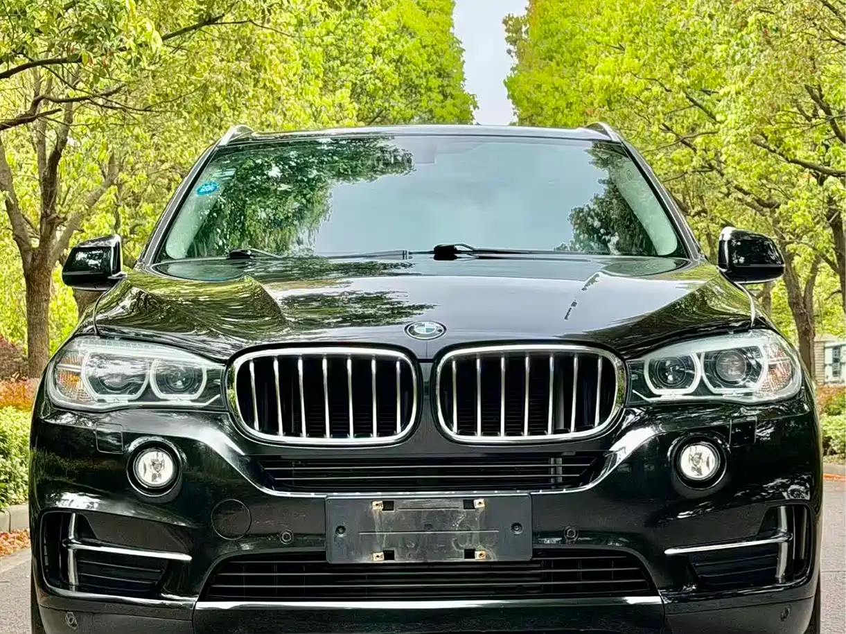 BMW X5 (Import) 2018 xDrive35i Elegant Model фото 2