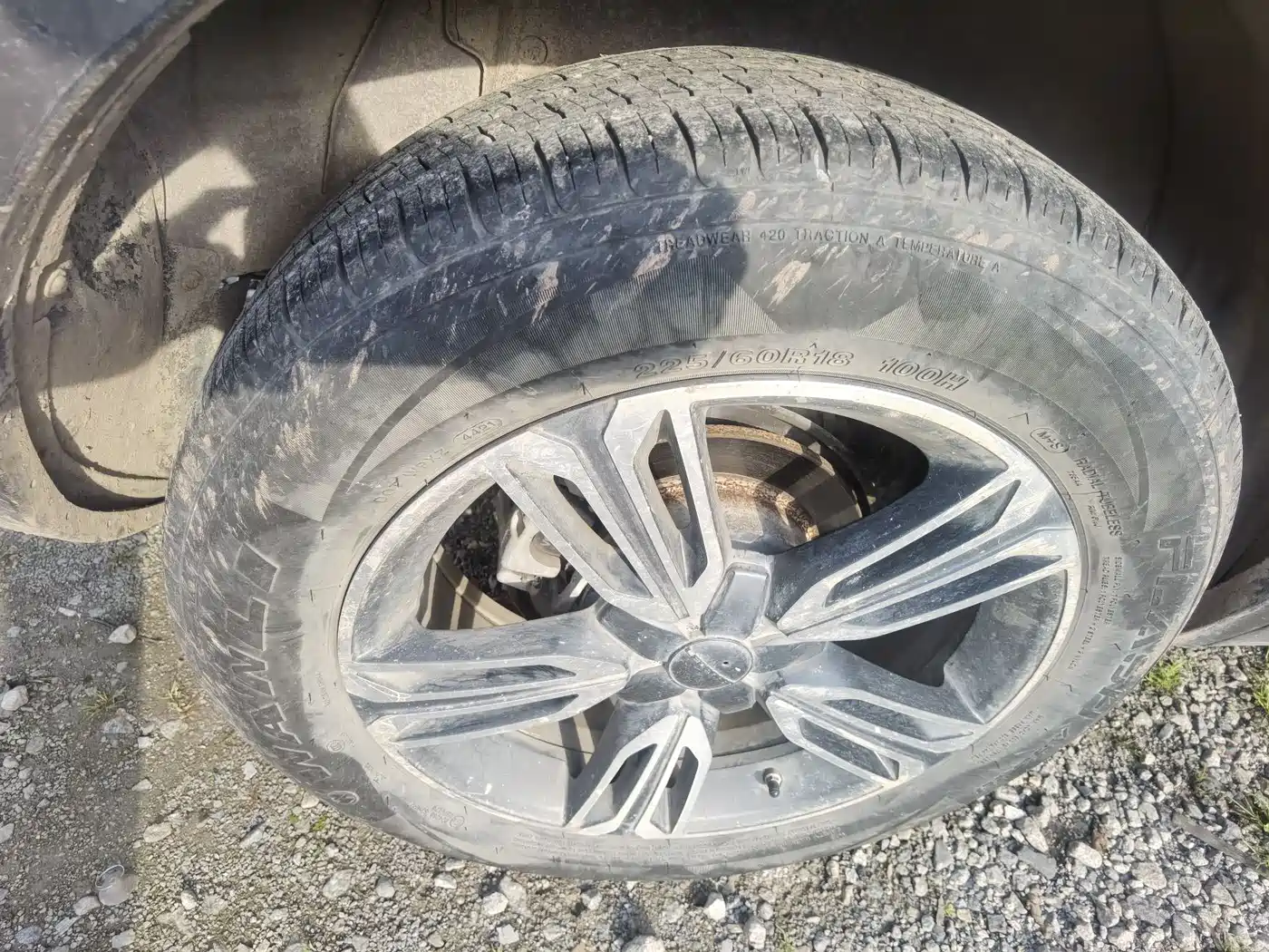 CHEETAH CARS CHEETAH CS10