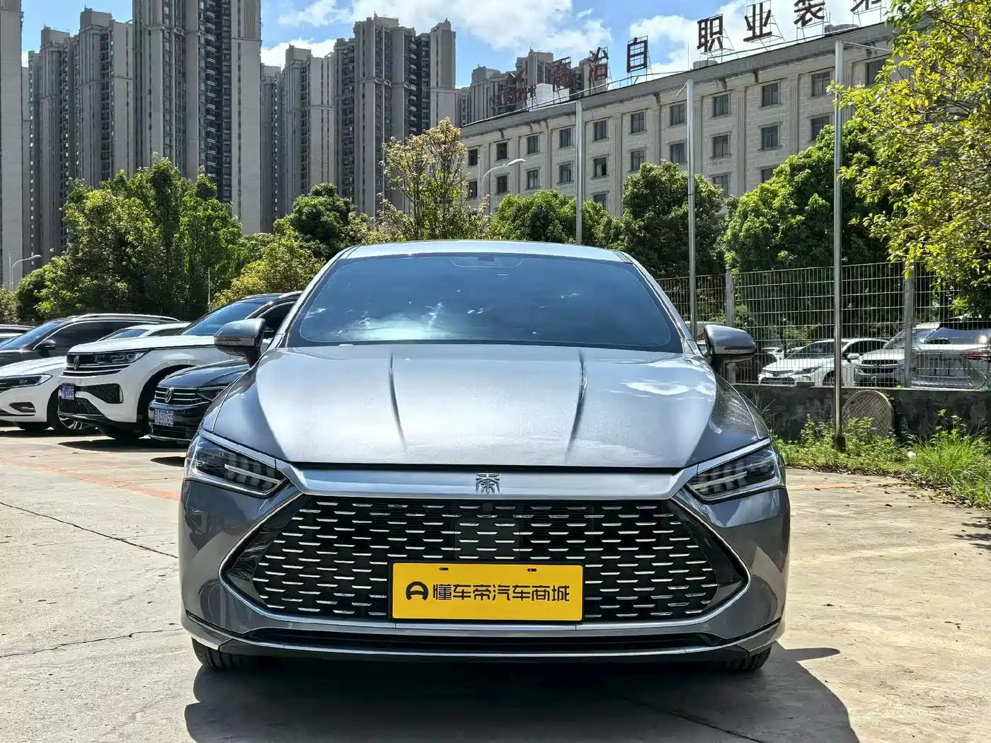 BYD Qin PLUS 2023 Champion Edition DM-i 55KM Leading фото 2