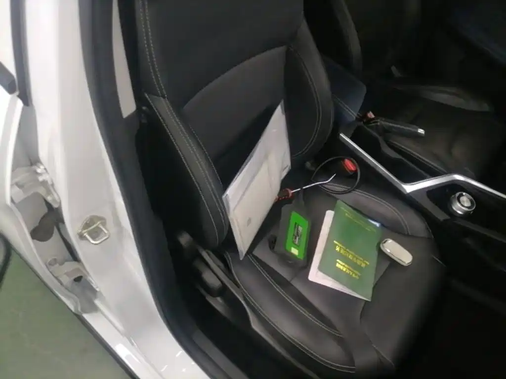 Geely Geometry EX3 Kung Fu Bull 2022 2021 Strong Bull