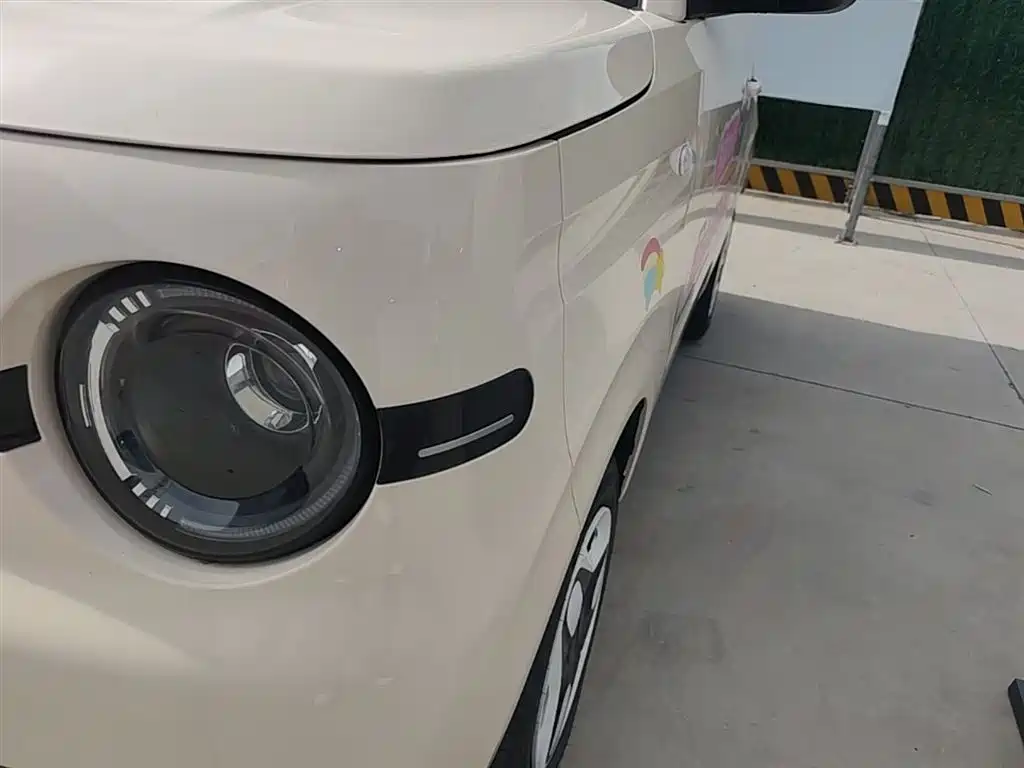 Geely Galaxy Panda 2025 Panda mini 210km Vitality Bear фото 24