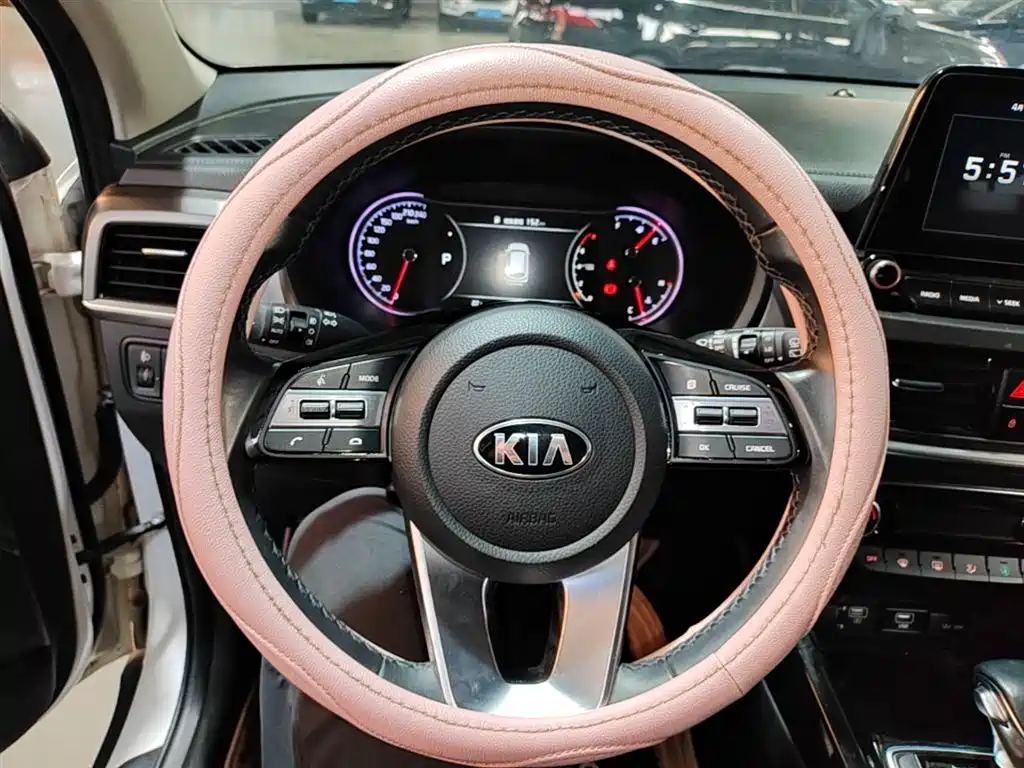 Kia Sportage 2018 2.0L Automatic Smart Luxury (China V) фото 7