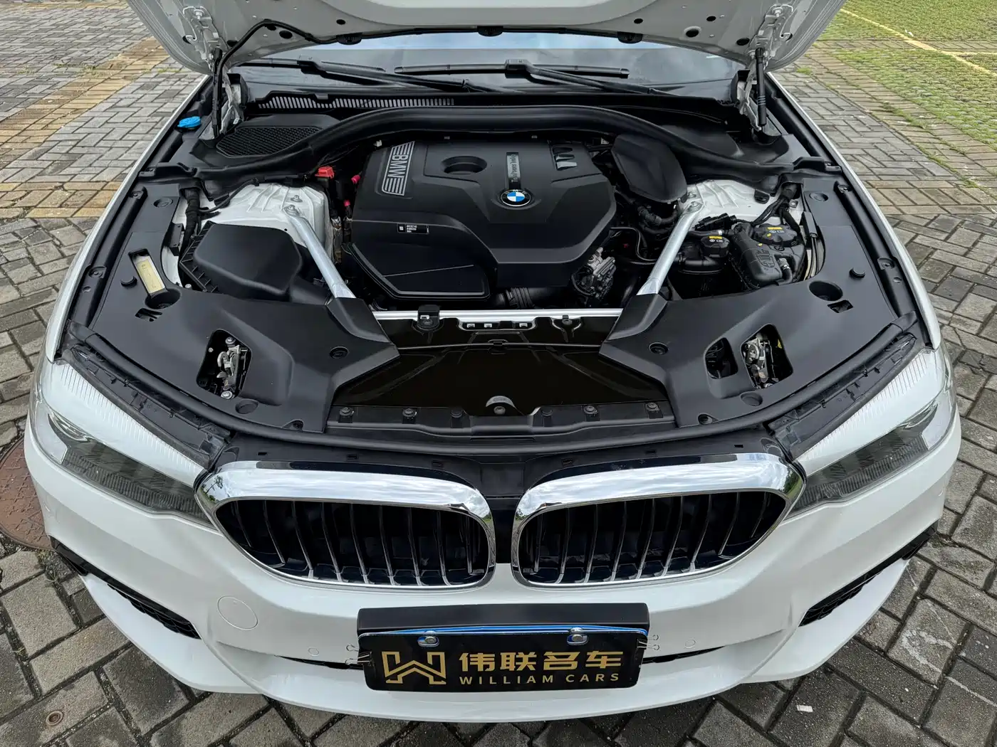 BMW 5 Series 2019 Facelift 530Li Leading M Sport Package фото 20