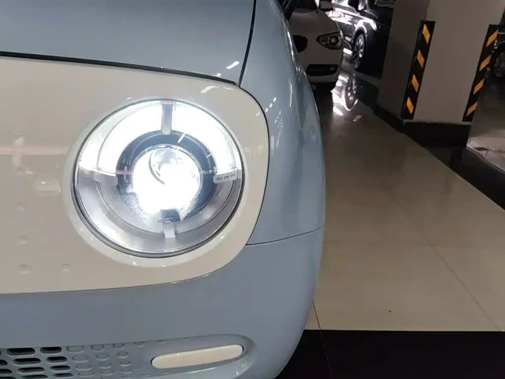 Ora Black Cat 2022 2022 301km Cute Pet Edition (LFP)