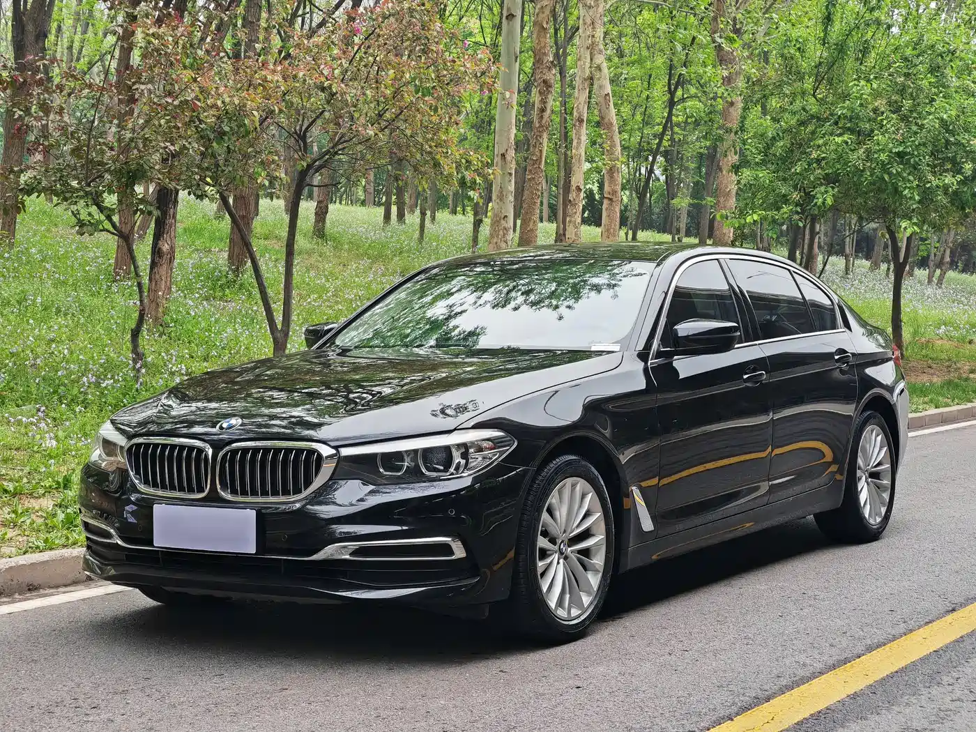 BMW 5 Series 2020 525Li Luxury Package