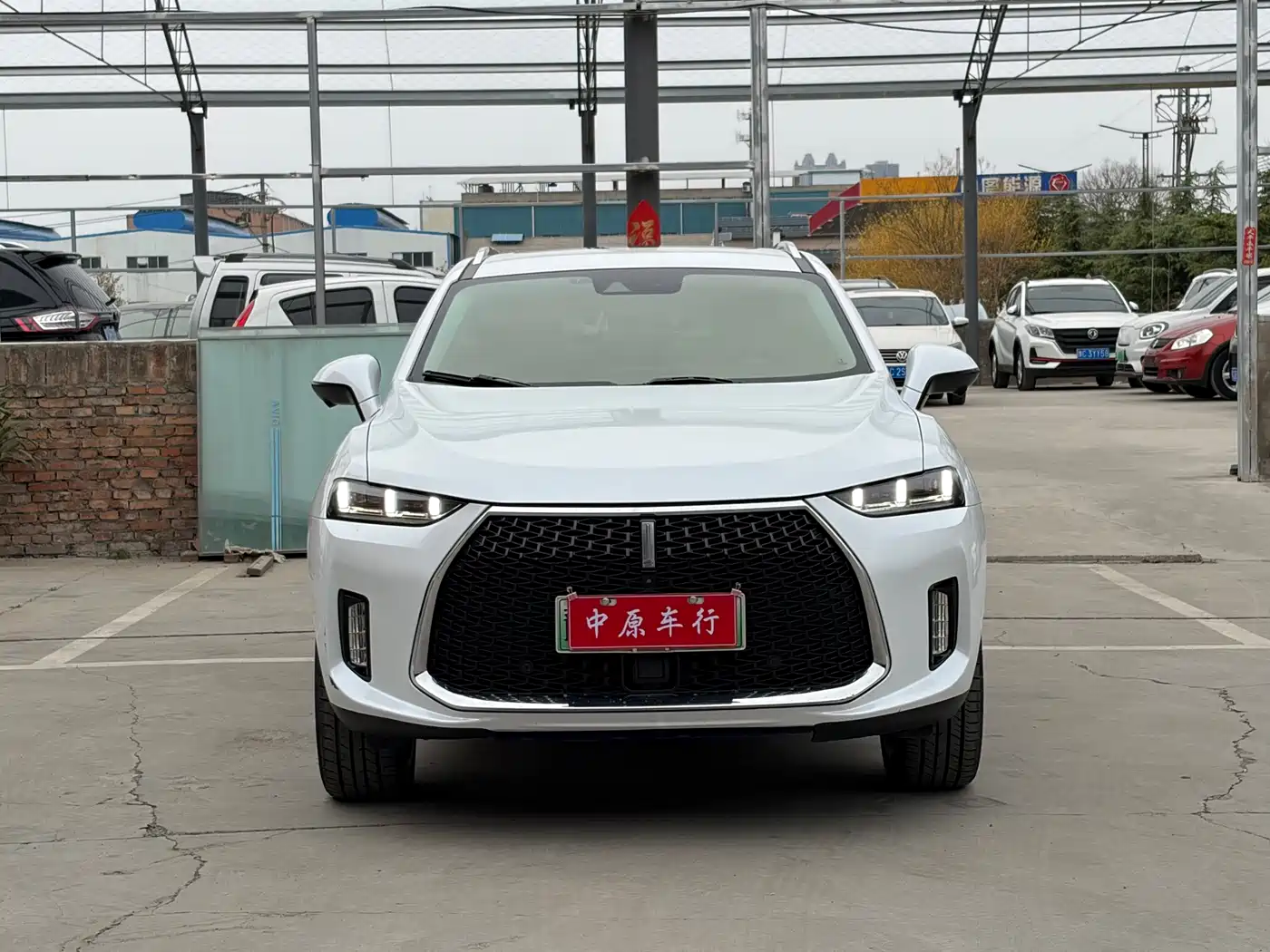 WEI PAI WEI BRAND P8