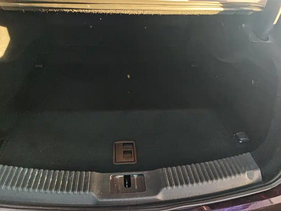 Hongqi H9 2020 3.0T Smart Connect Flagship 4-Seater фото 4