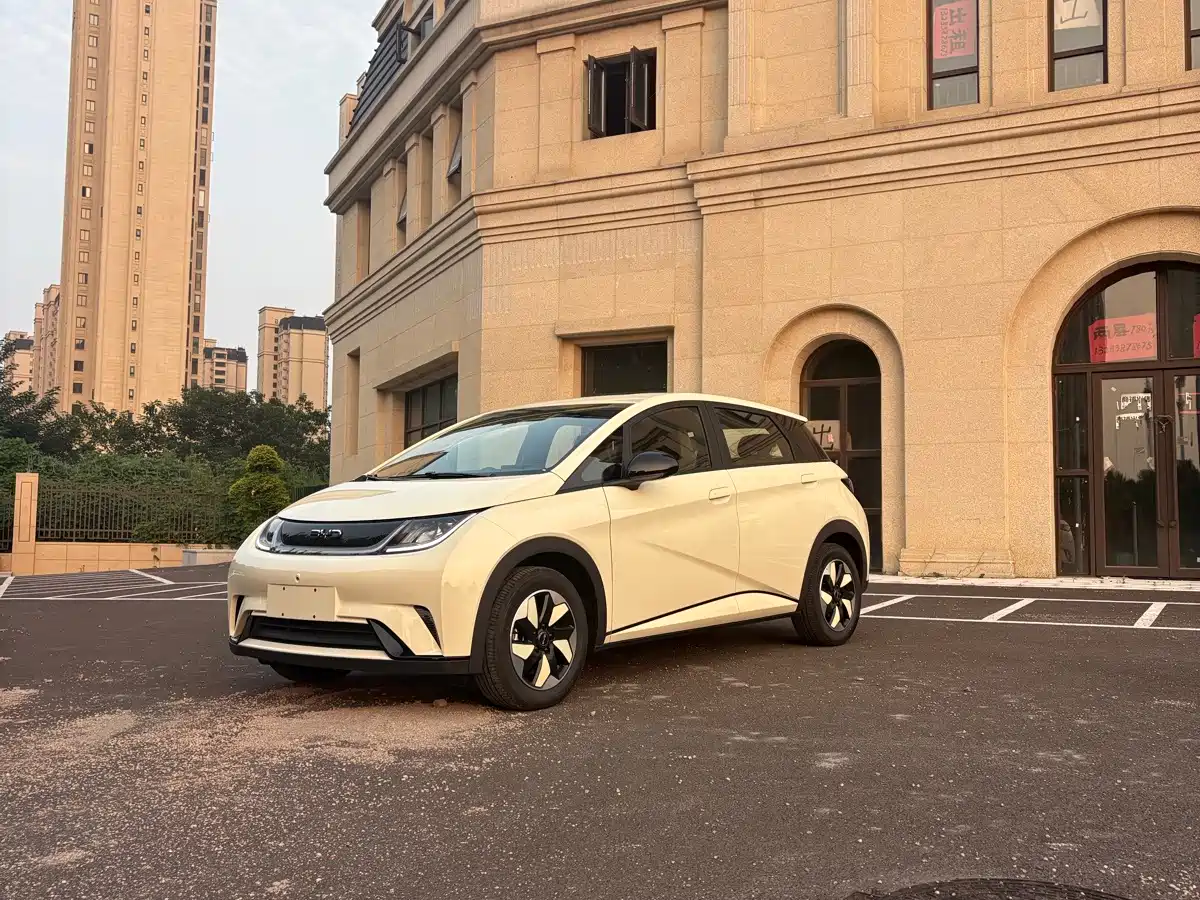 BYD Dolphin 2026 2025 420km Freedom Edition
