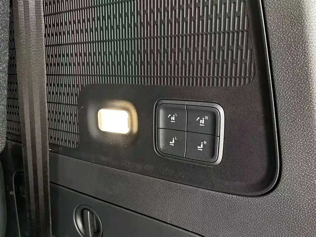 Hongqi HQ9 PHEV 2024 Model 2.0T AWD Luxury Edition фото 6