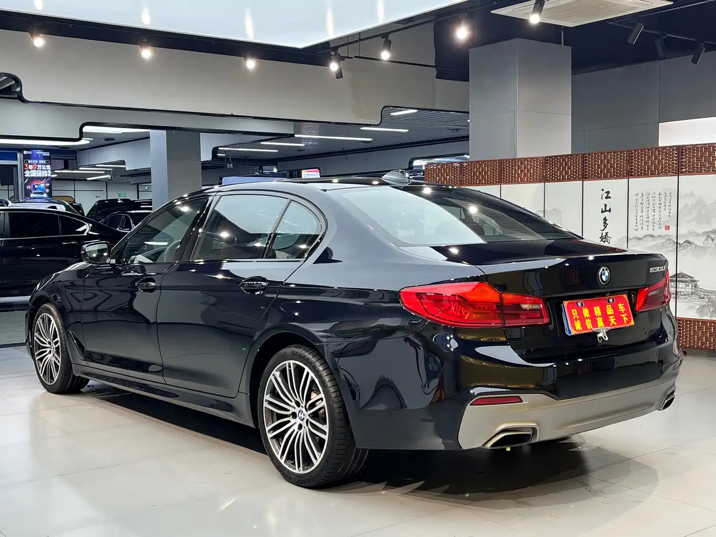 BMW 5 Series 2019 530Li Leading M Sport Package фото 13