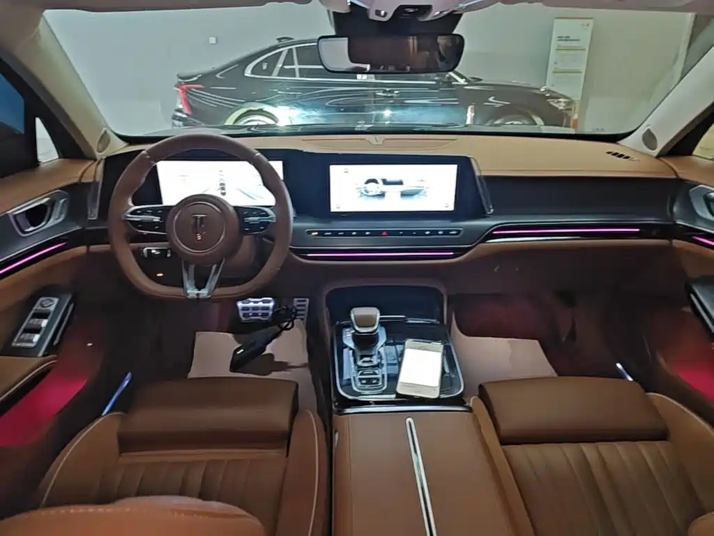 Hongqi H9 2025 2024 2.0T Qi Enjoy Private Fashion Edition
