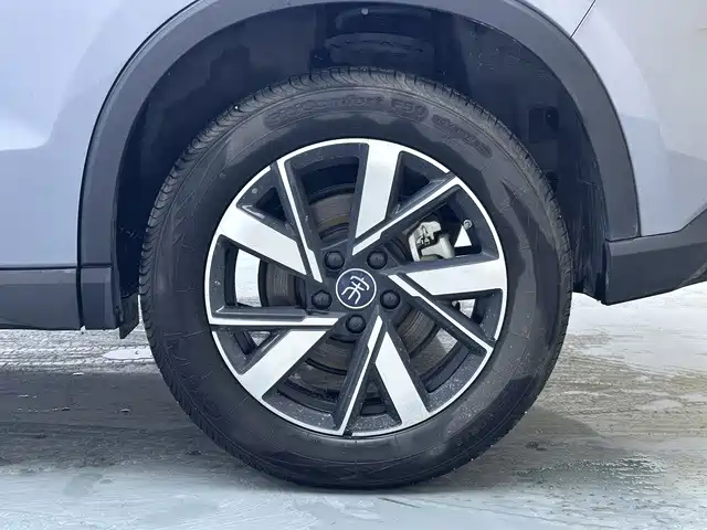 BYD Song Pro New Energy 2025 2024 Glory Edition DM-i 71KM Pilot