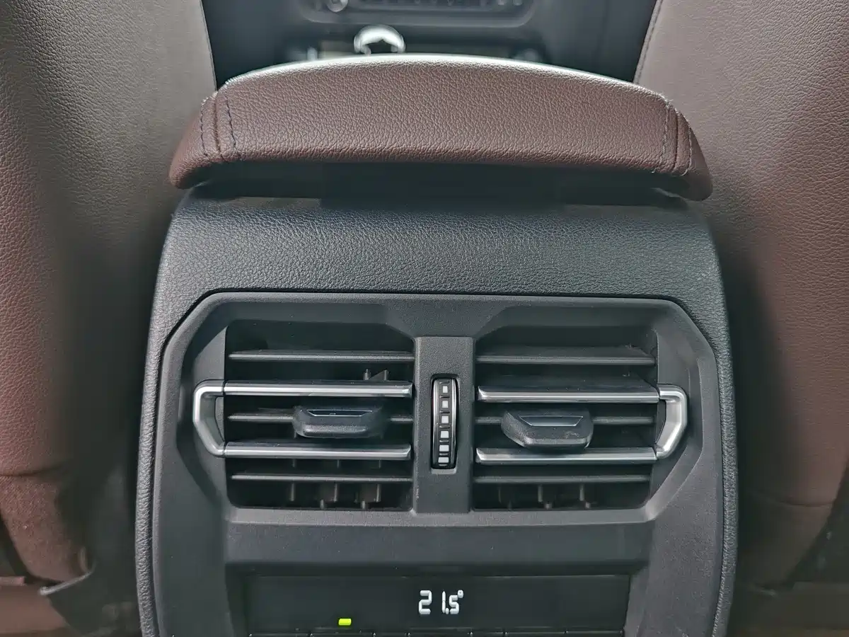 BMW 3 Series 2021 325Li M Sport Night Edition фото 18