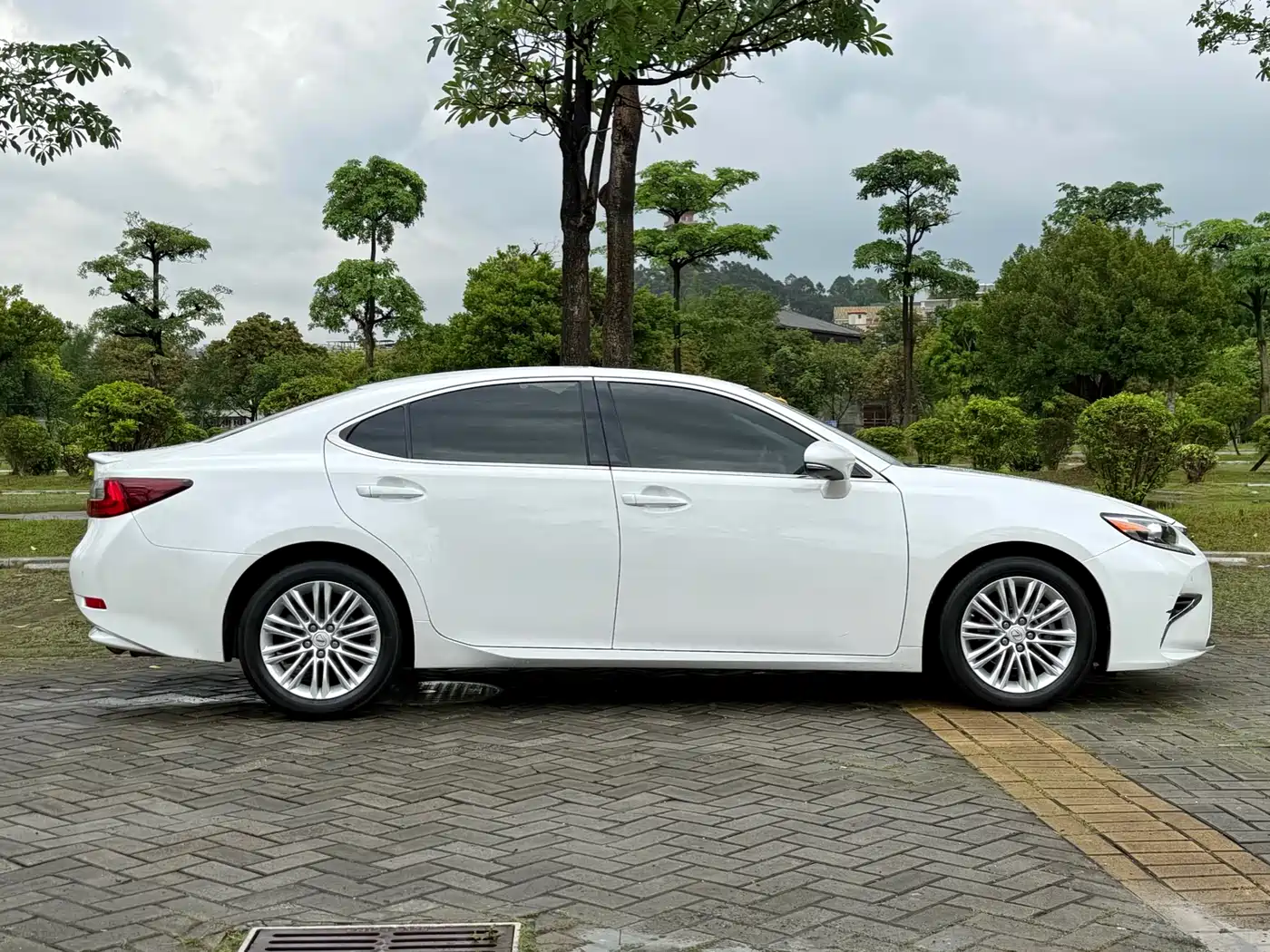 Lexus ES 2015 200 Elite Edition фото 15
