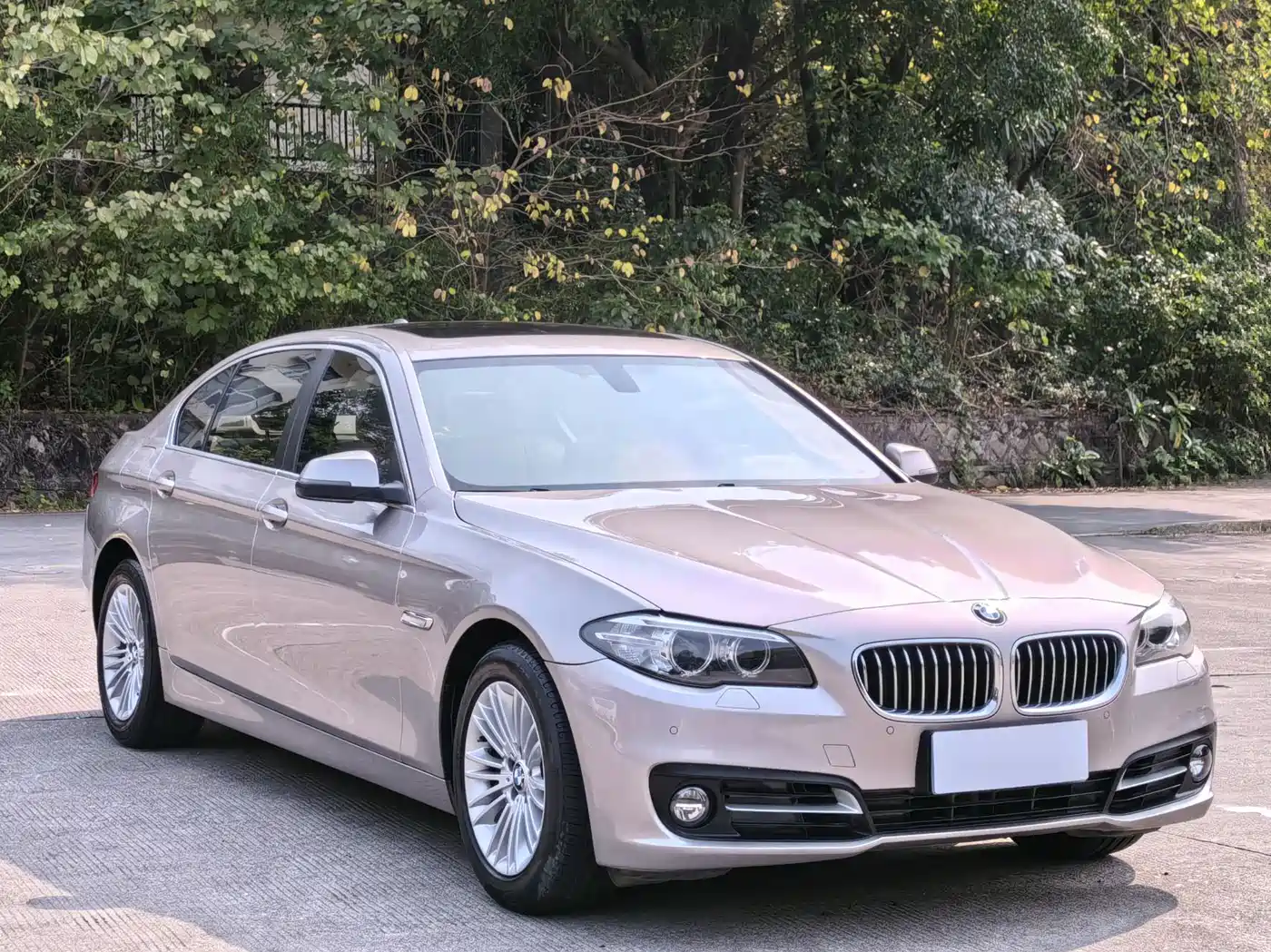 BMW 5 Series 2014 525Li Leading фото 3
