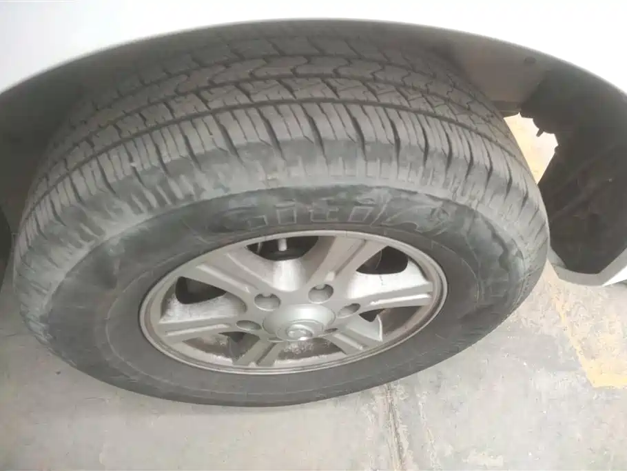 GREAT WALL FENGJUN 5