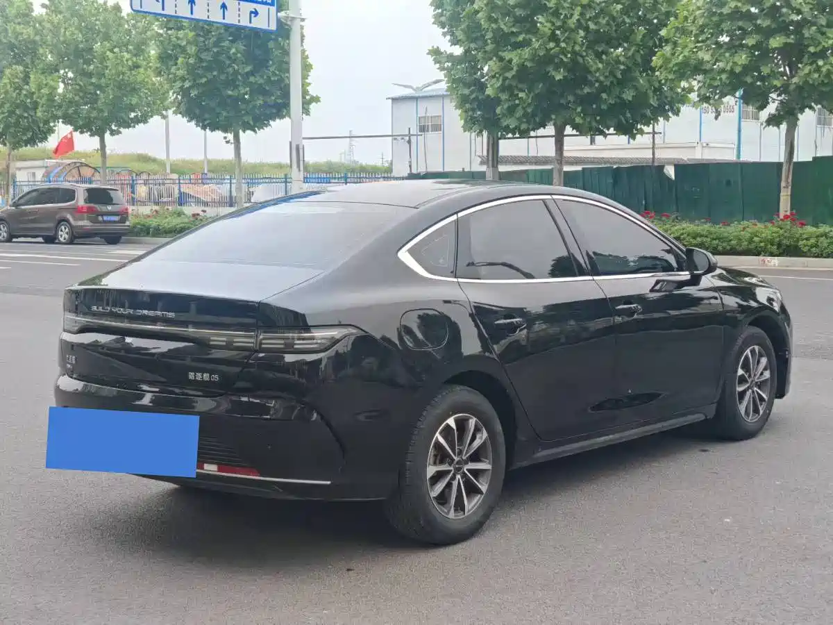 BYD Destroyer 05 2024 Glory Edition DM-i 55KM Luxury фото 7