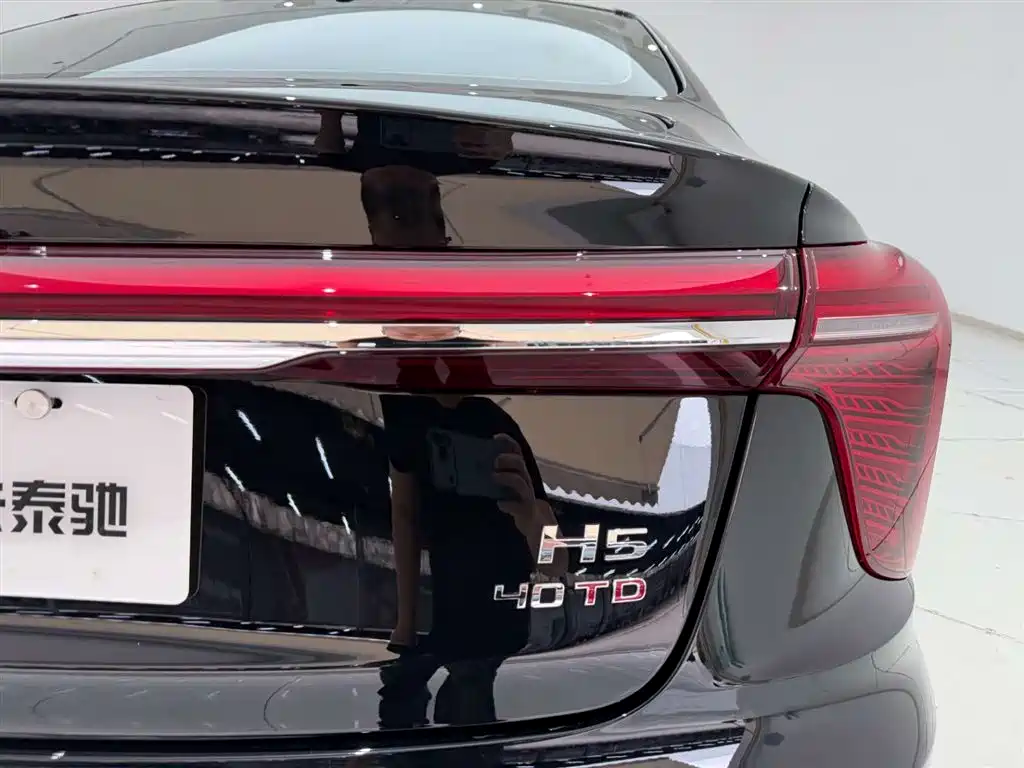 Hongqi H5 2025 2.0T Automatic Flag Celebration 500,000 Units Anniversary Edition фото 10