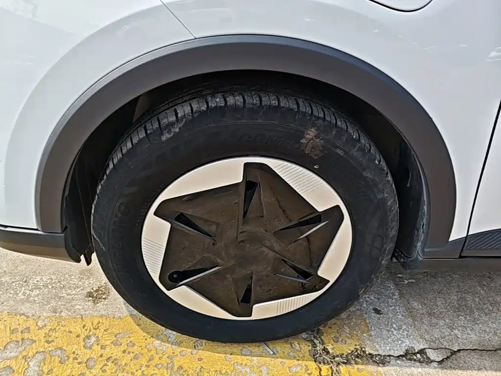 Geely Geometry E Firefly 2024 2024 401km Starlight