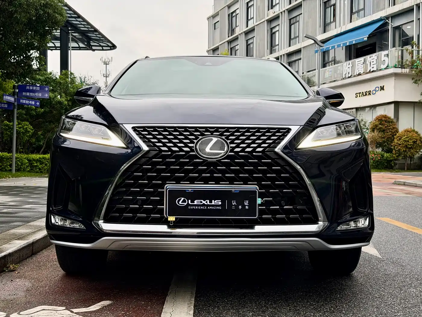 Lexus RX 2020 Facelift 300 AWD Elegance Edition фото 4