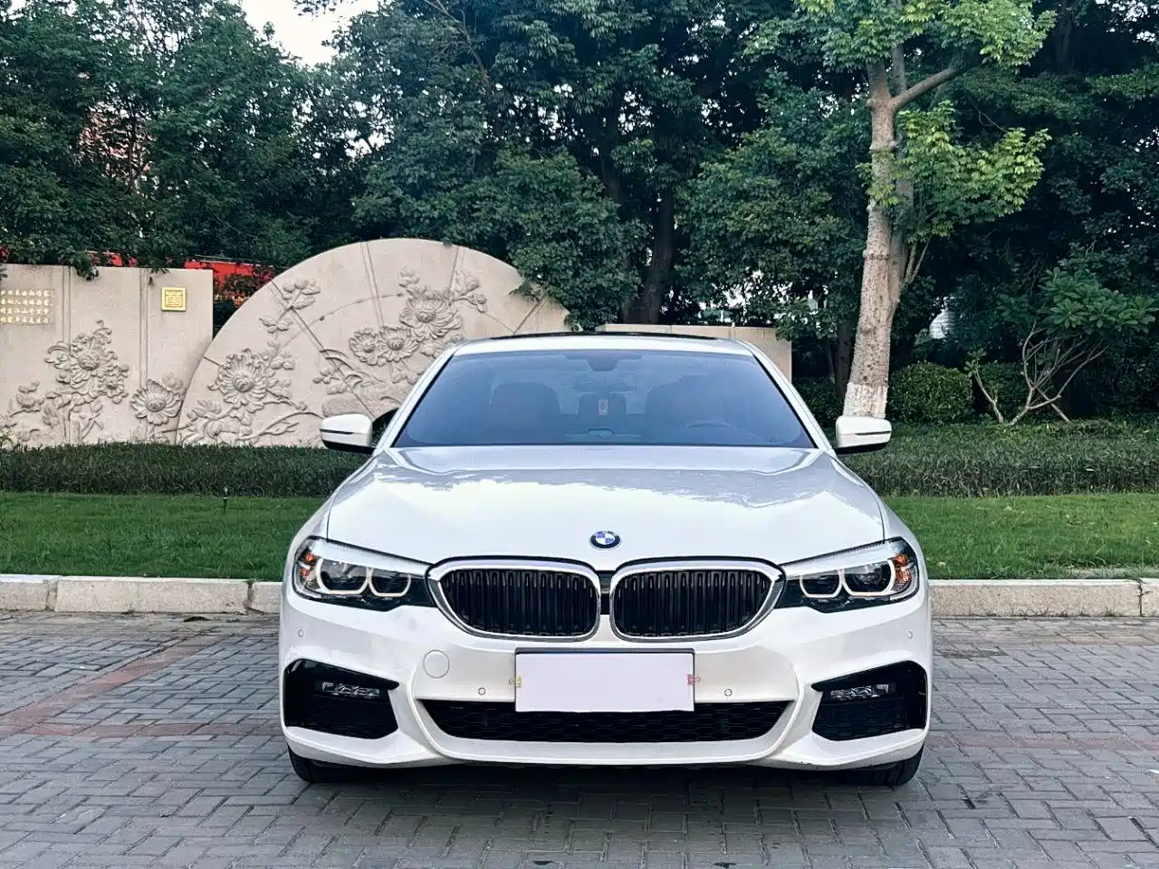 BMW 5 Series 2019 530Li xDrive M Sport Package фото 2