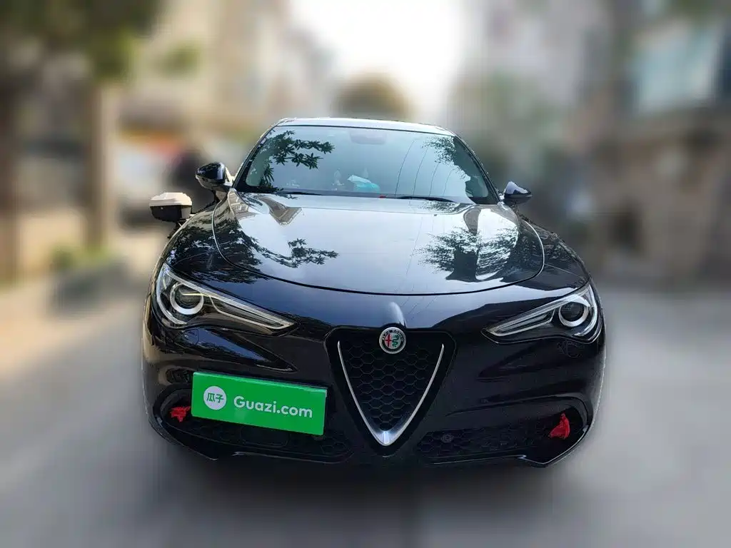Alfa Romeo Stelvio 2019 2017 2.0T 200HP Elite