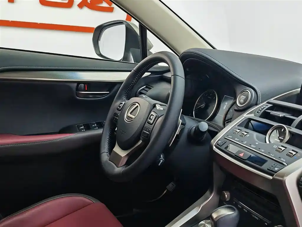 Lexus NX 2018 Model 300 FWD Fengxing Edition фото 22
