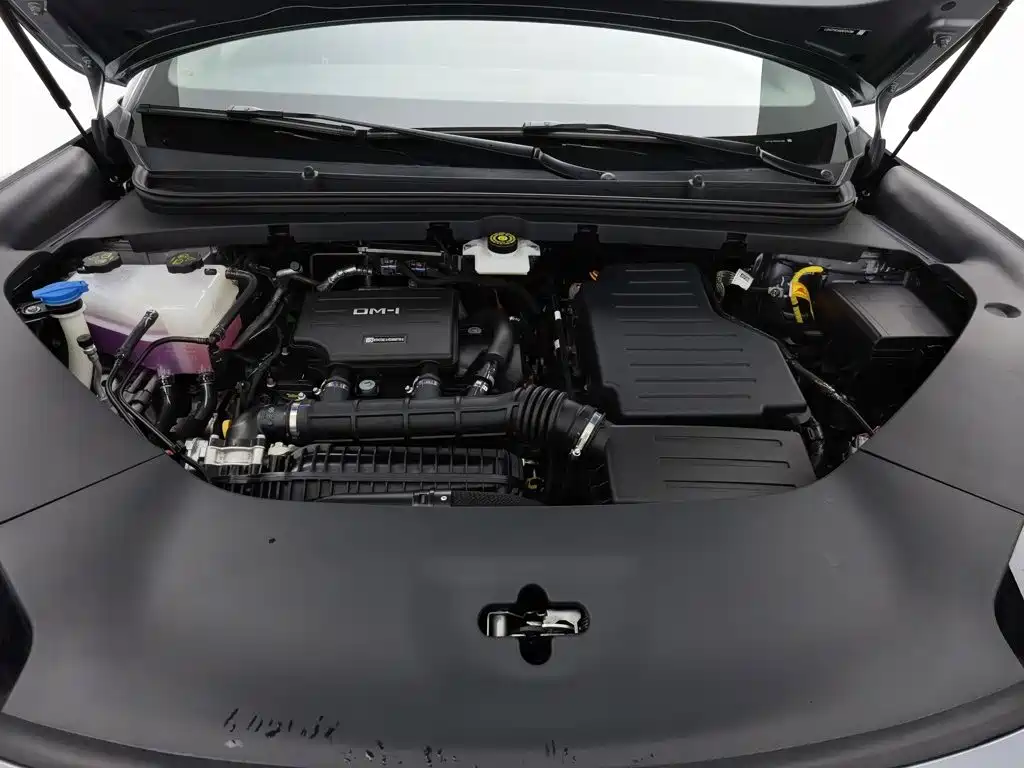 BYD Sealion, миниатюра 6
