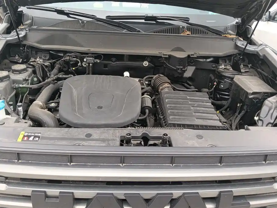 Haval Meng Long NEV 2024 Hi4 102 Pro фото 10