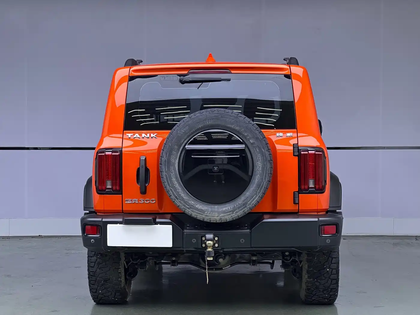 Tank 300 2021 2021 Off-road Version 2.0T Conqueror