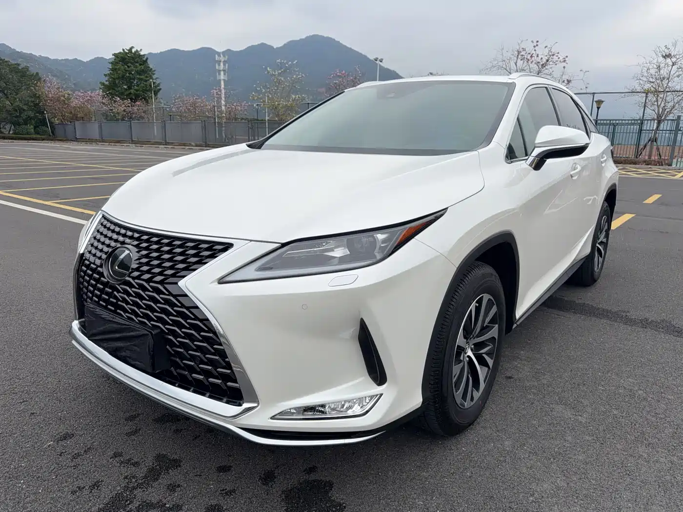 LEXUS RX