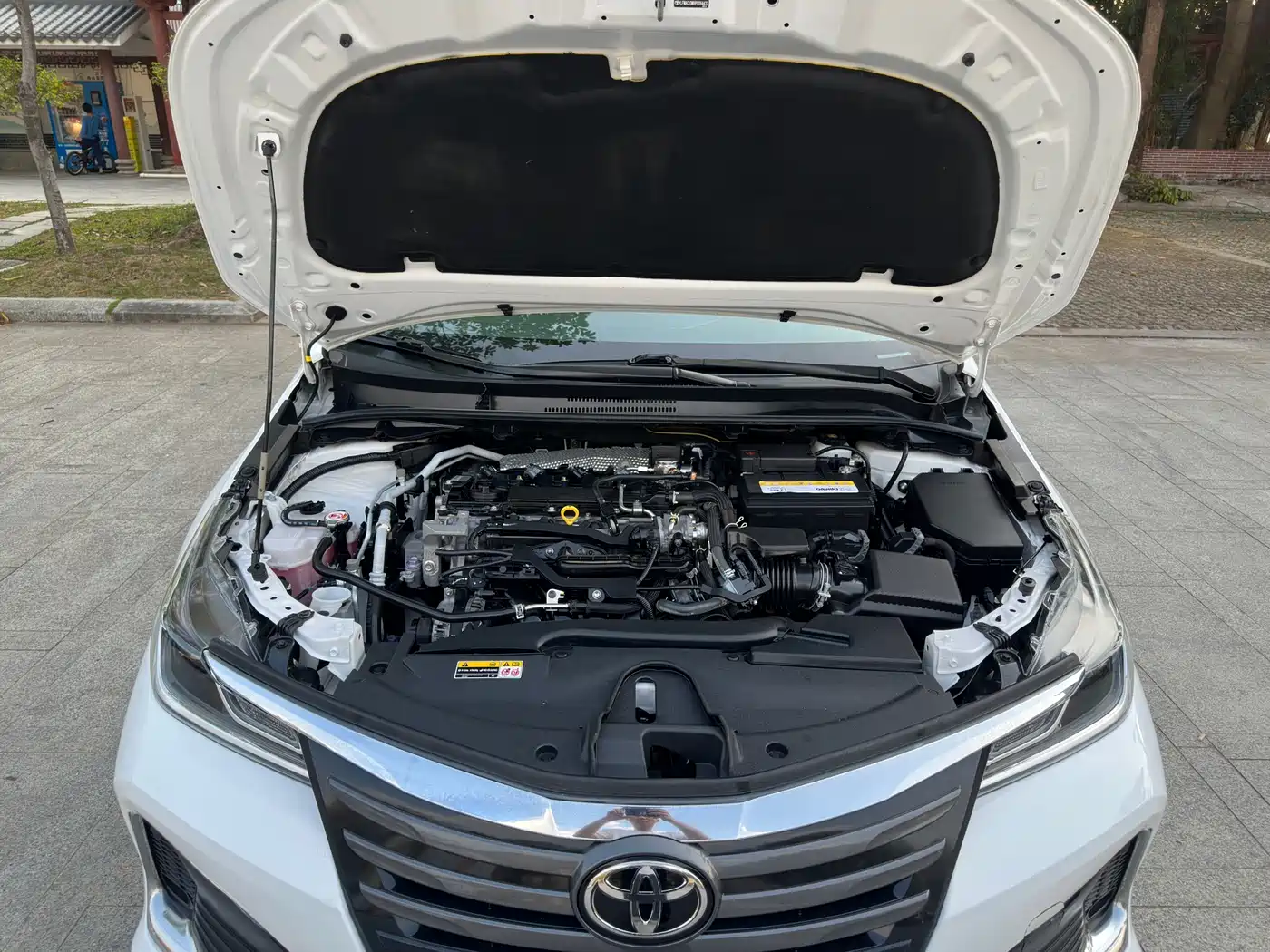 TOYOTA ASIAN LION