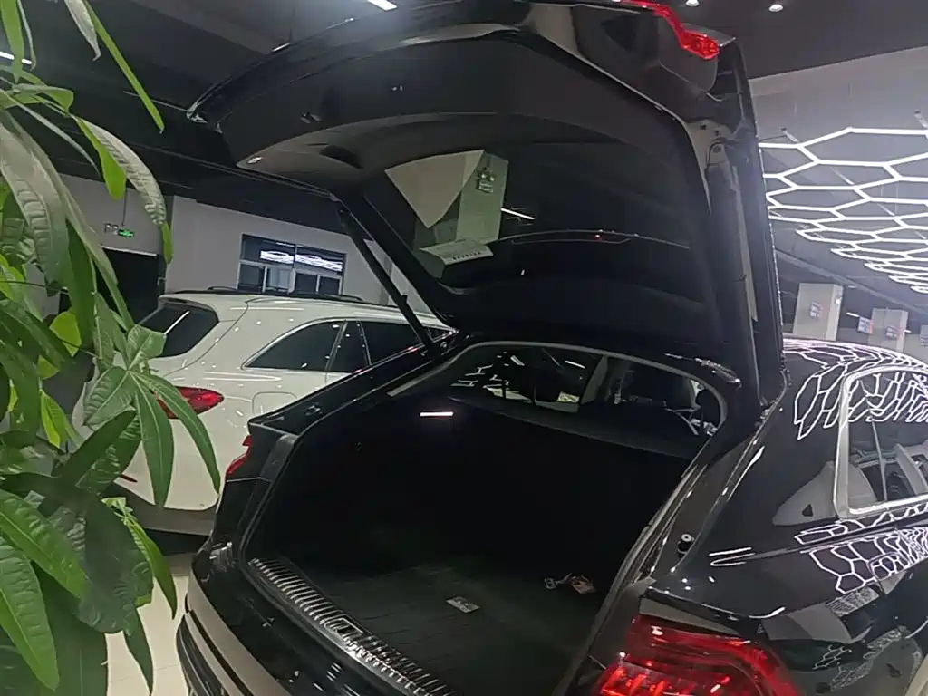 Audi Q8 2023 55 TFSI Luxury Sport фото 19