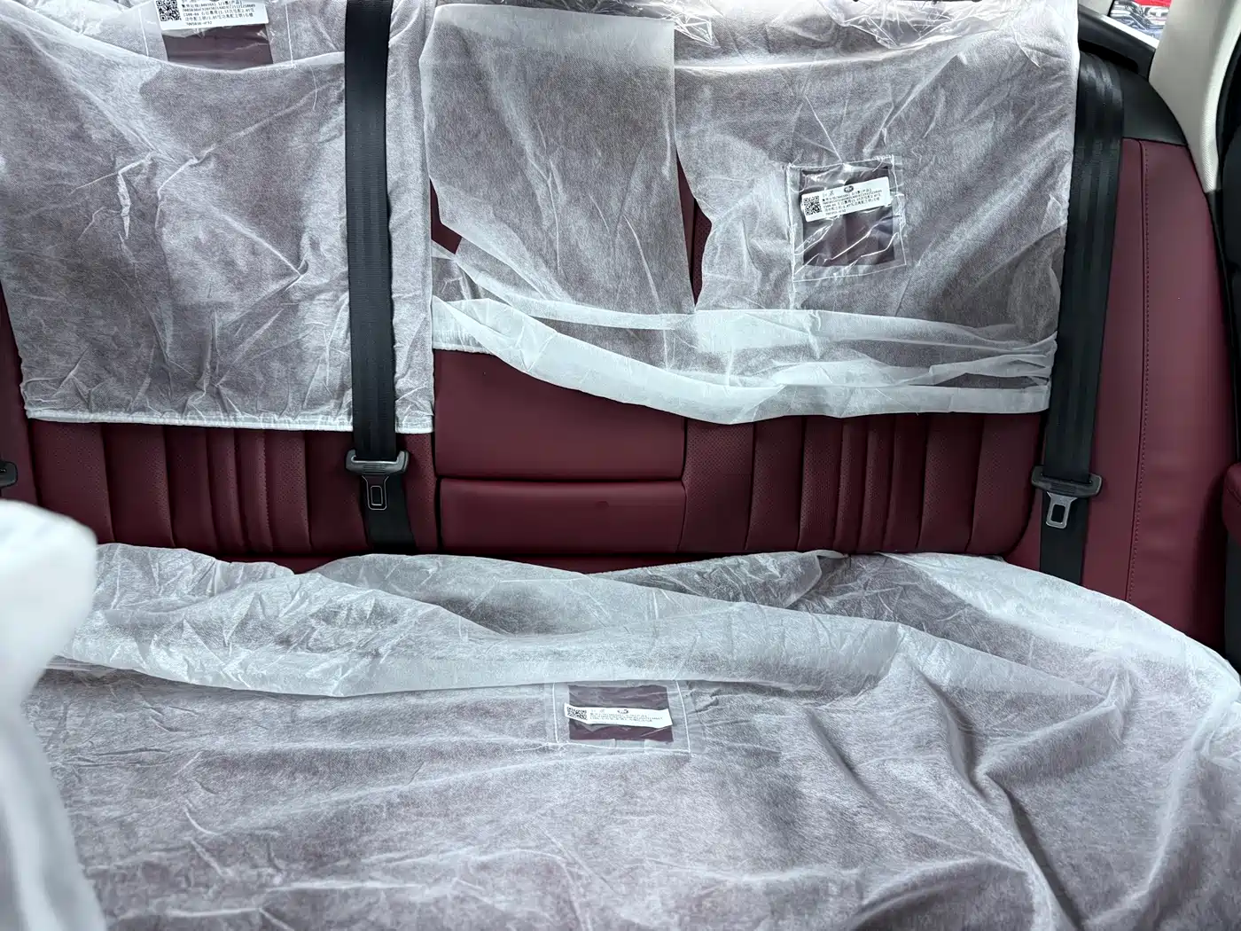 Hongqi H5 2025 1.5T DCT Flag Rhythm 500,000 Units Memorial Edition фото 13