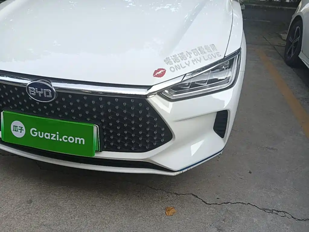 BYD e2 2019 2019 Standard Range Intelligent Comfort
