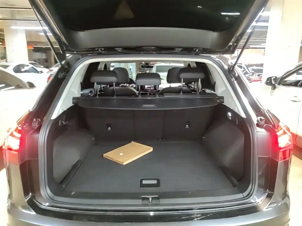 VOLKSWAGEN TANYUE