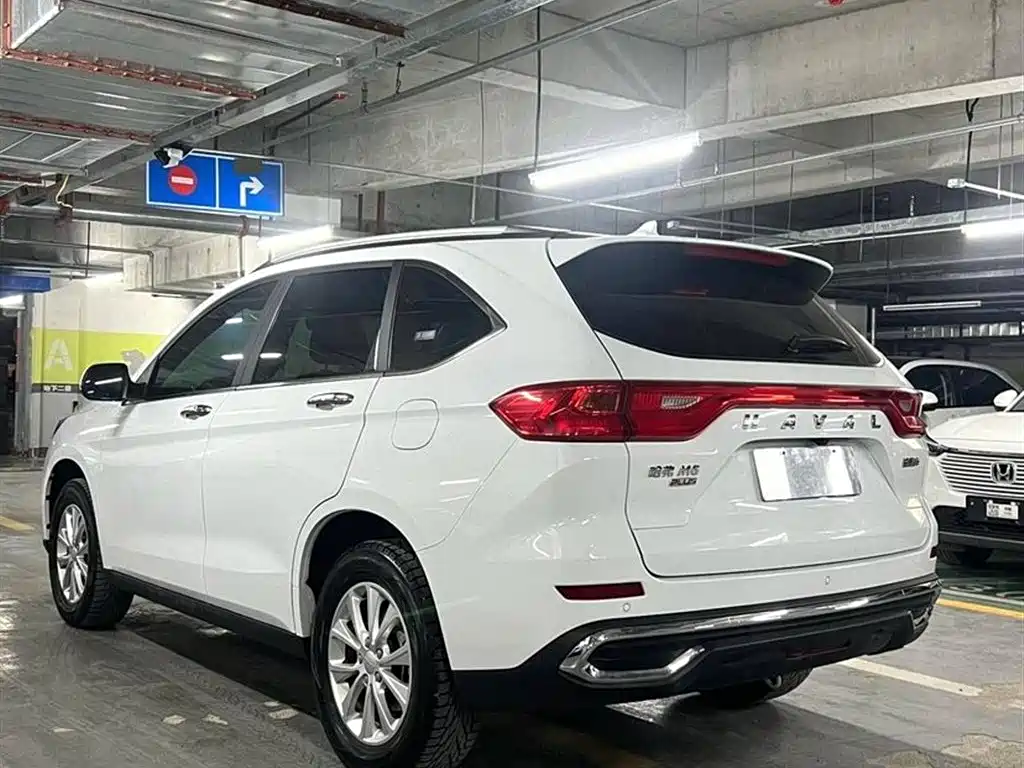 HAVAL M6