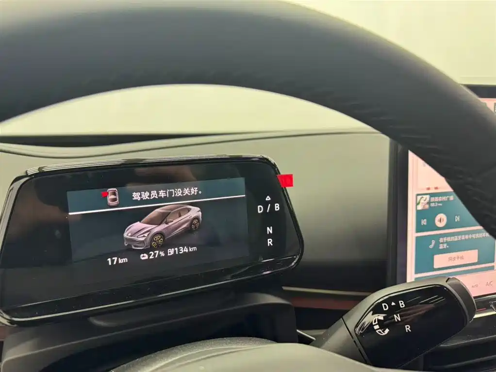 VOLKSWAGEN WITH THE CROWD 06